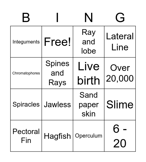 Agnatha, Chondrichthyes, and Osteichthyes Bingo Card
