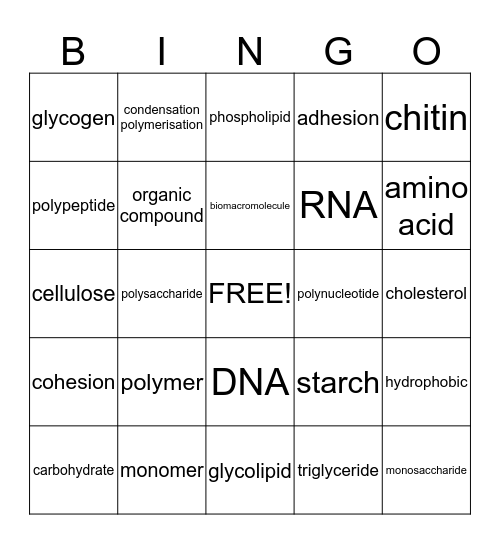 Biomolecules Bingo Card