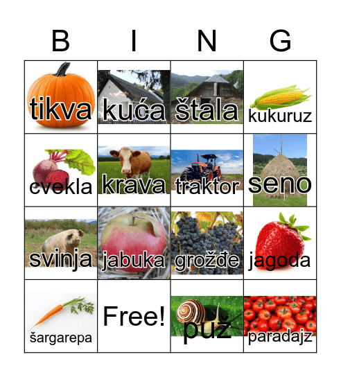 Selo Bingo Card