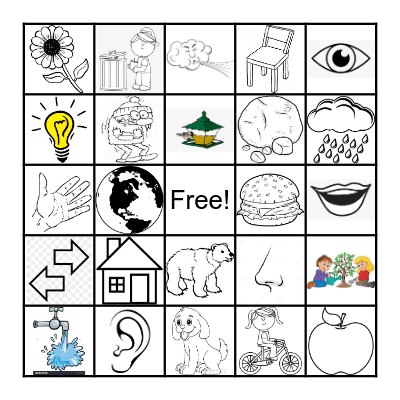 Grade 1 Science Bingo Card