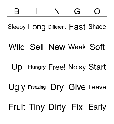 Synonym & Antonym Bingo Card