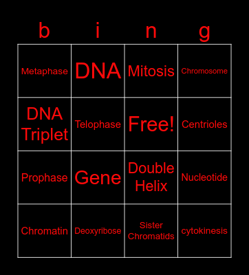 Vocabulary bingo Card