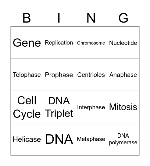 unit 5 vocabulary Bingo Card