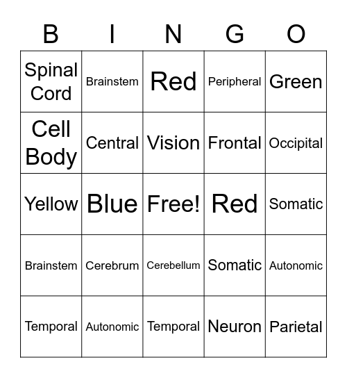 Nervous System Bingo Card