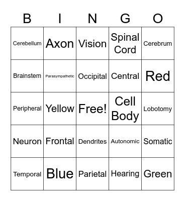 Nervous System Bingo Card