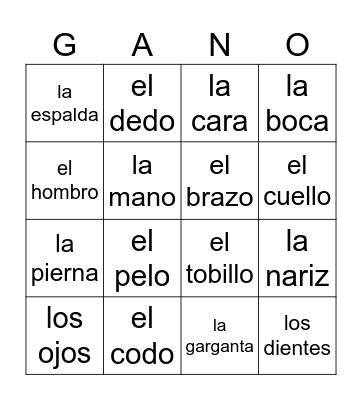 Partes del cuerpo (Texto) Bingo Card