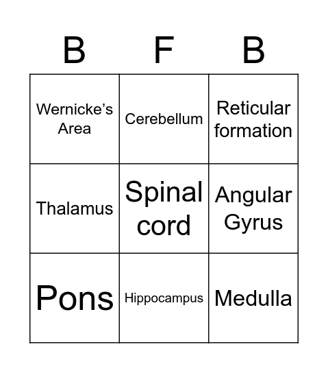 Brain Functions Bingo Card