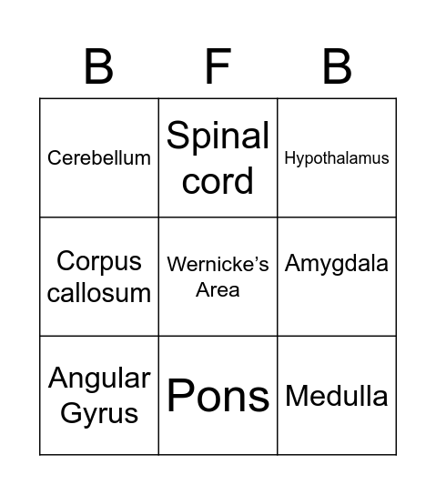 Brain Functions Bingo Card