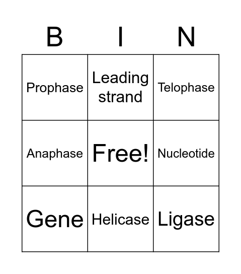 Unit 5 Cell Cycle & DNA Vocab Bingo Card