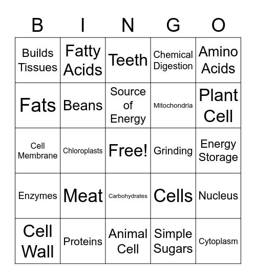 Cells macromolecules and Digestion Bingo Card