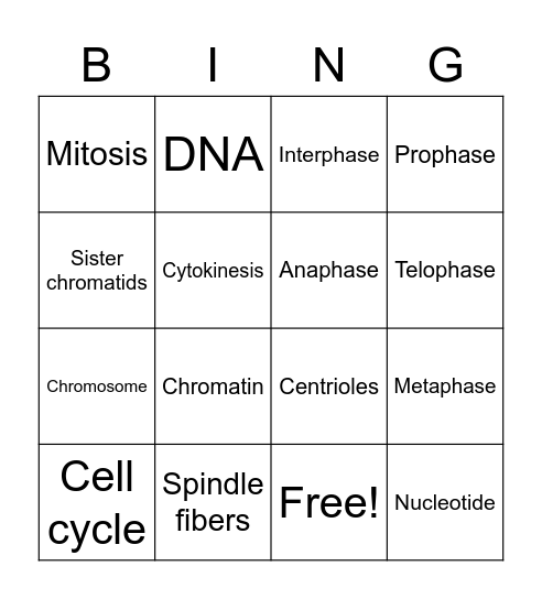 Unit 5 Cell Cycle and DNA Vocab Bingo Card