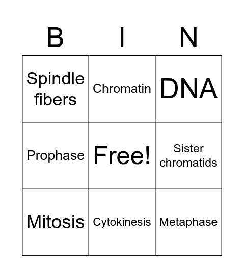 Unit 5 Cell cycle and DNA Bingo Card
