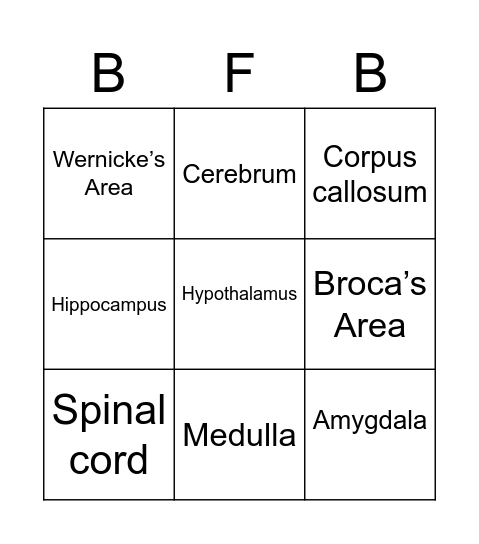 Brain Functions Bingo Card