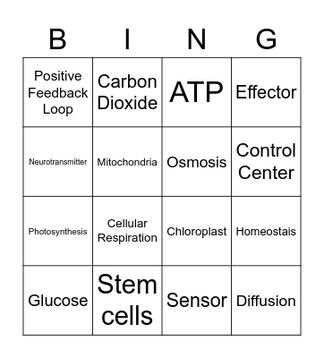 Unit 2 Vocabulary Bingo Card