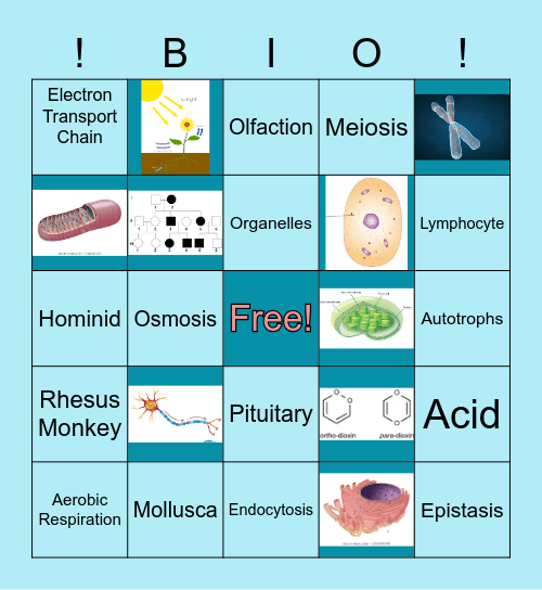 Biology Game Night! Bingo Card