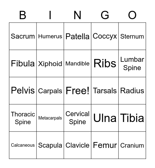 Mr. Bones Bingo Card