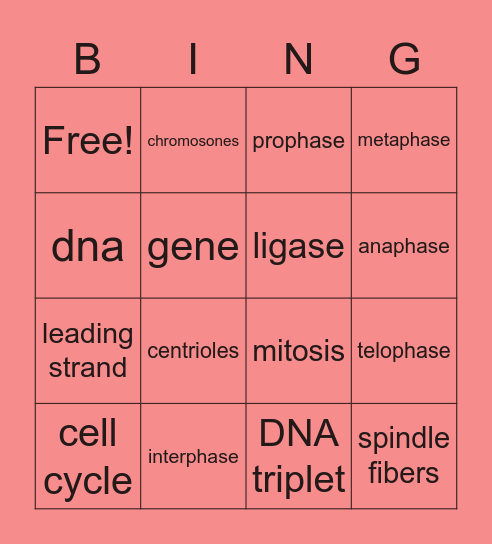 Unit 5 vocab Bingo Card