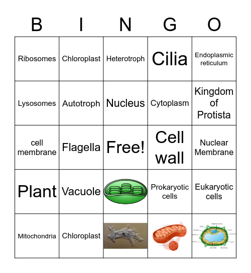 Cells Bingo Card