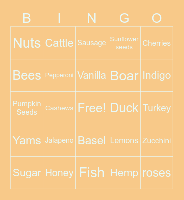 BiNgO iS cOoL Bingo Card