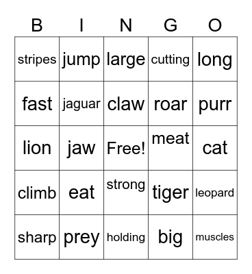 BIG CATS! Bingo Card