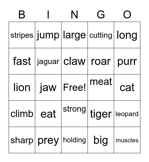BIG CATS! Bingo Card