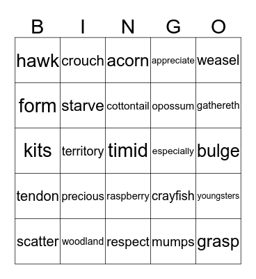 Lions Bingo Card