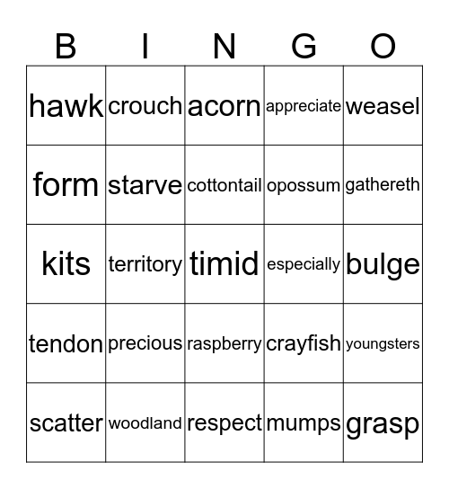 Lions Bingo Card