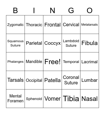 Skeletal System Bingo Card