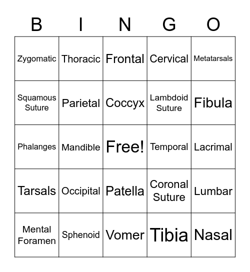 Skeletal System Bingo Card