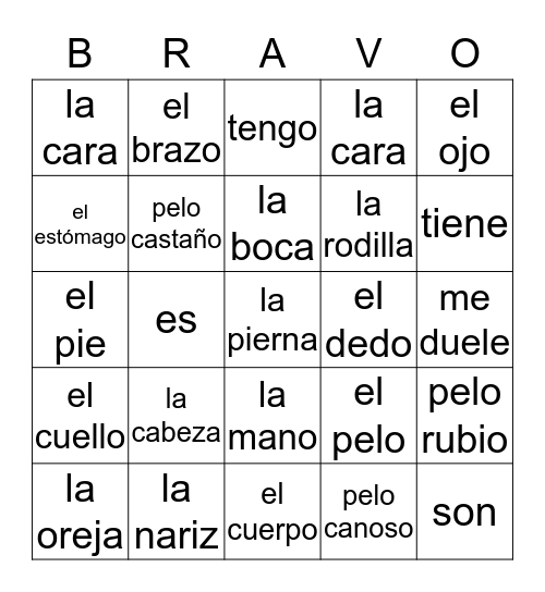 Partes del Cuerpo Bingo Card