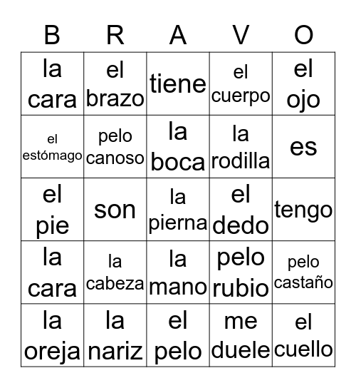 Partes del Cuerpo Bingo Card