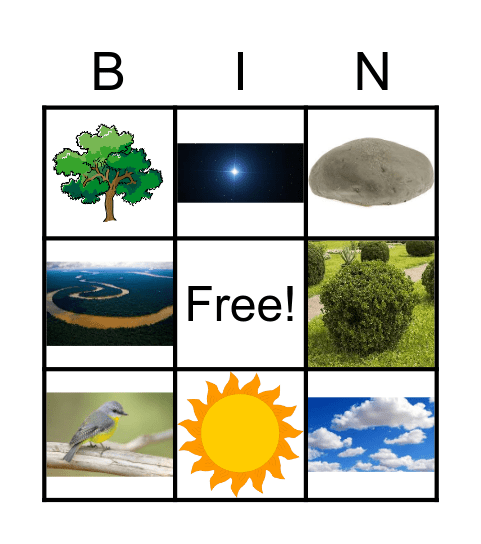 listen and cross out the correct words Bingo Card