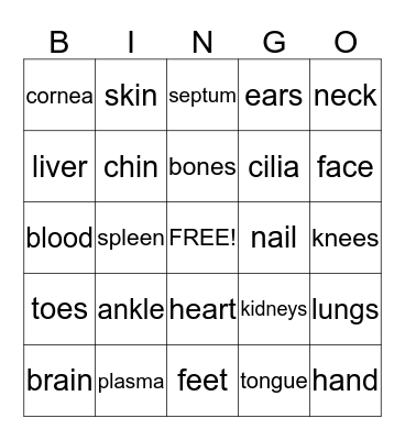 Human Anatomy Bingo Card