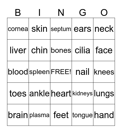 Human Anatomy Bingo Card