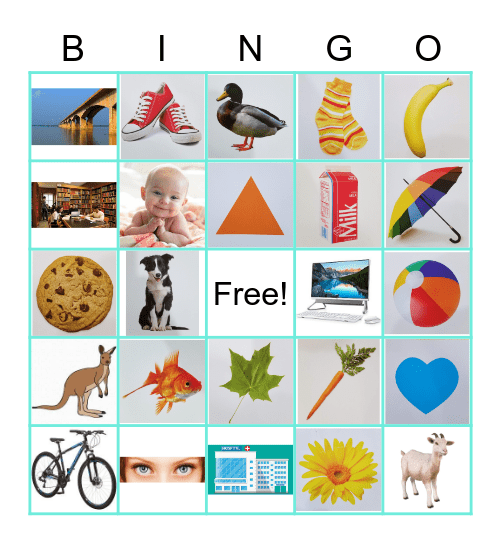 What am I? Bingo Card