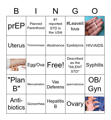 Reproductive Health Bingo Card