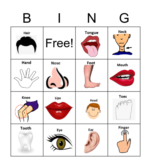 BODY PARTS Bingo Card