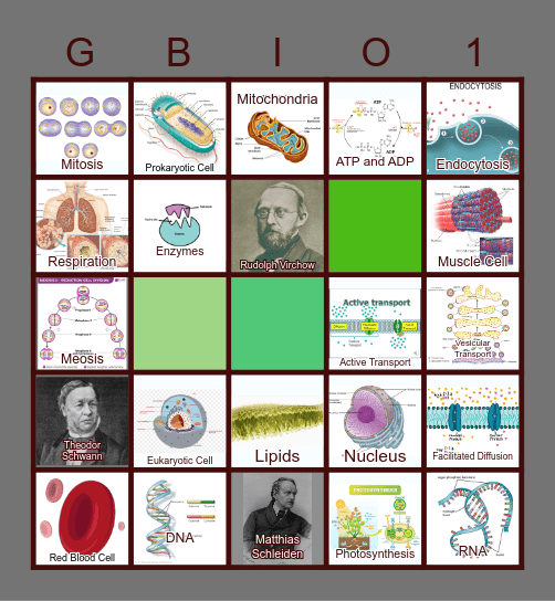 GENERAL BIOLOGY 1 BINGO CARD Bingo Card