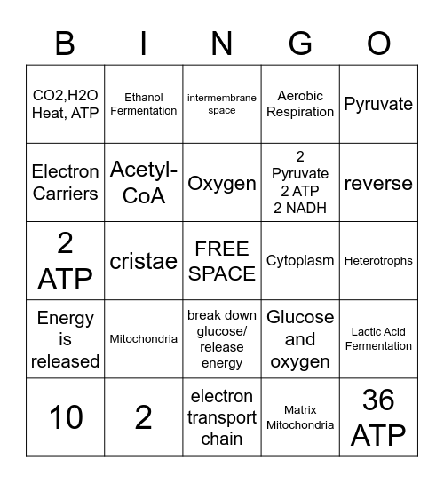 Cellular Respiration Bingo Card