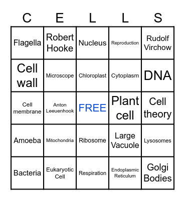 Mr. Alberto - BINGO CELLS Bingo Card