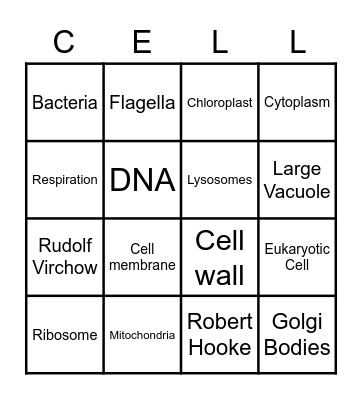 Mr. Alberto - BINGO CELLS Bingo Card