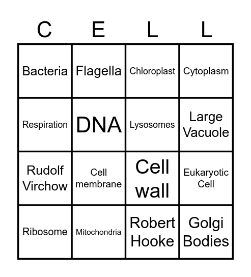 Mr. Alberto - BINGO CELLS Bingo Card