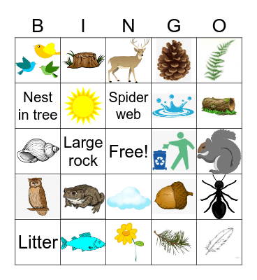 Blue Jay Nature Bingo Card