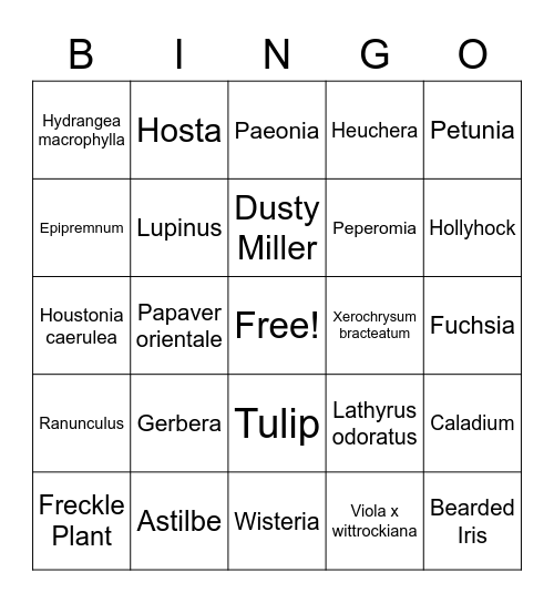 Plant ID Bingo Card