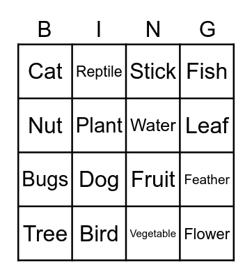 Nature Presentation Bingo Card