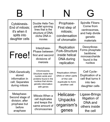 Unit 5 Vocabulary Bingo Card