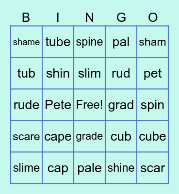 Silent e Bingo Card