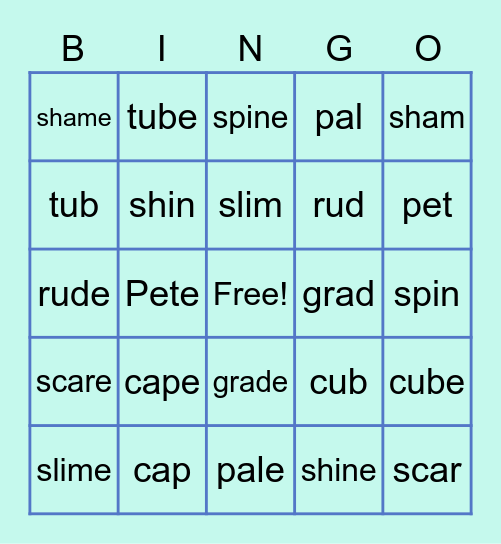 Silent e Bingo Card