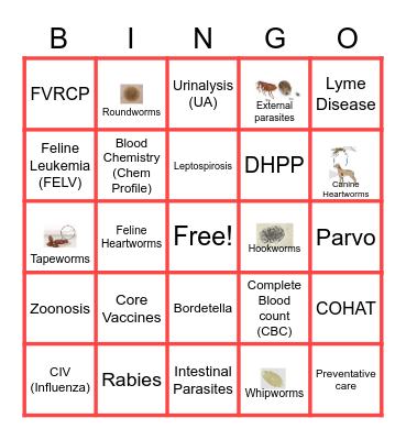 VHA Moxie Bingo Card