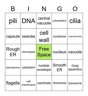 Cell Parts BINGO Card